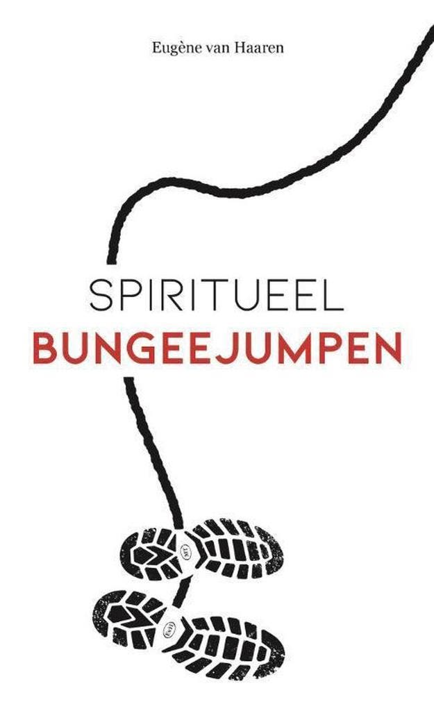 Spiritueel bungeejumpen 9789492883568 Eugène Van Haaren, Boeken, Esoterie en Spiritualiteit, Gelezen, Verzenden