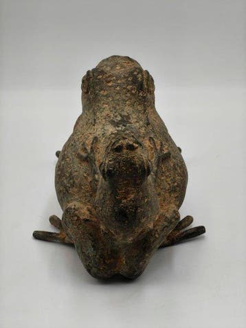 Prachtige pad (Zonder minimumprijs)