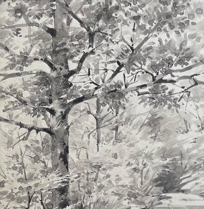 Louise Abbéma (1853-1927) - Paysage de foret, Antiek en Kunst, Kunst | Schilderijen | Klassiek