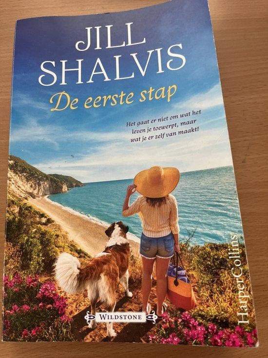 De eerste stap (Special) 9789402713329 Jill Shalvis, Livres, Romans, Envoi