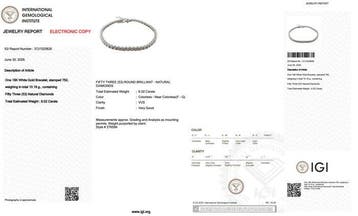 Armband - 18 karaat Witgoud - 6.02ct. tw. Diamant
