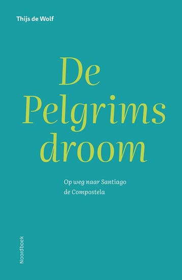 De pelgrimsdroom 9789464712612 Thijs De Wolf, Verzenden, Gelezen, Thijs De Wolf