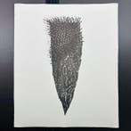 Günther Uecker (1930-2025) - Splitter für Polen