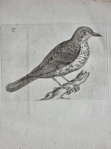 Johann Andreas Naumann (1744 – 1826) - Johann Andreas e, Antiek en Kunst