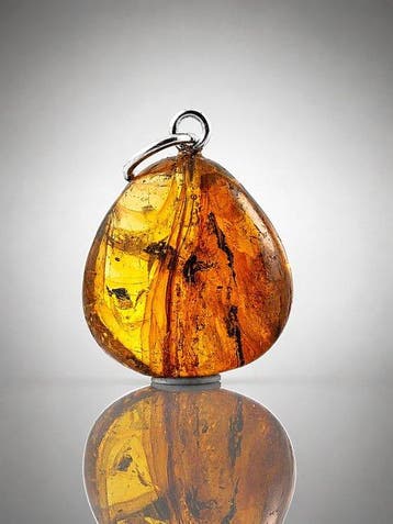 Pendentif fin en ambre baltique – Ancient DANCE FLY entouré