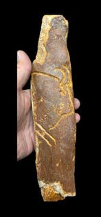 A fabulous prehistory experimental bone engraving-on fossil