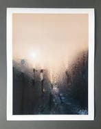 Andre Lichtenberg - Window 20-01 Wolf Moon