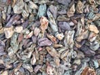 Colour Lace Aqua Rock  5-11cm 2KG aquarium decoratie stenen, Ophalen of Verzenden, Plant(en), Steen of Hout