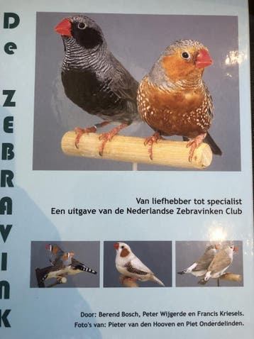 De Zebravink 9789080213722 P. Wijgerde, Boeken, Hobby en Vrije tijd, Verzenden, Gelezen, P. Wijgerde
