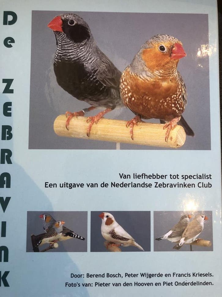 De Zebravink 9789080213722 P. Wijgerde, Boeken, Hobby en Vrije tijd, Gelezen, Verzenden