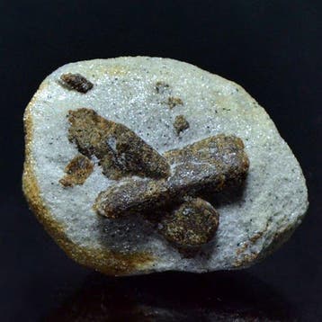 stauroliettweelingen Kristallen op matrix - Hoogte: 3.5 cm -