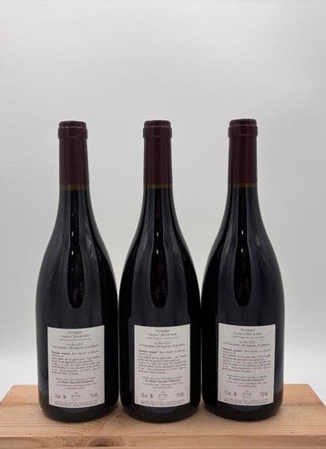 2022 Claire Naudin Myosotis Arvensis - Bourgogne Hautes, Collections