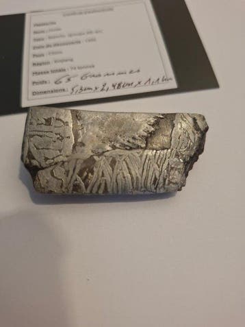 Météorite d’Aletai Tranche - 65 g - (1)