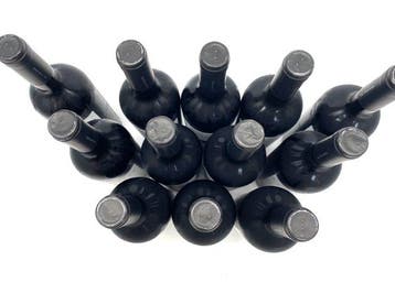 La Voliera Primitivo - Apulië - 12 Flessen (0.75 liter), Nieuw