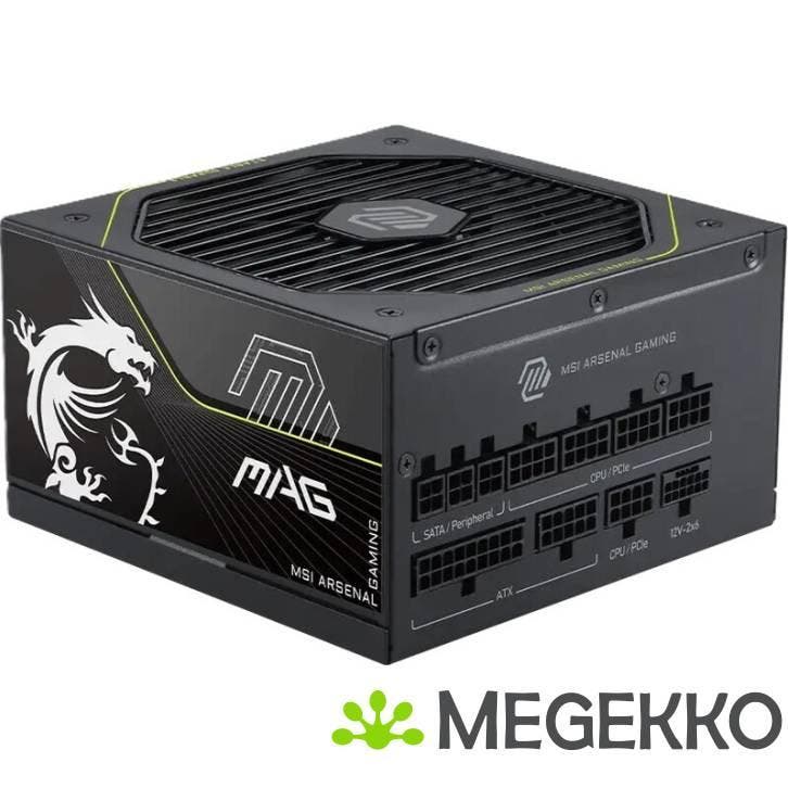 MSI MAG A1000PLS PCIE5, Informatique & Logiciels, Ordinateurs & Logiciels Autre, Envoi