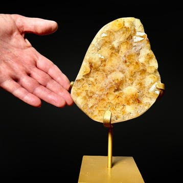 Citrine sur Pied Gravure - Hoogte: 200 mm - Breedte: 130 mm-