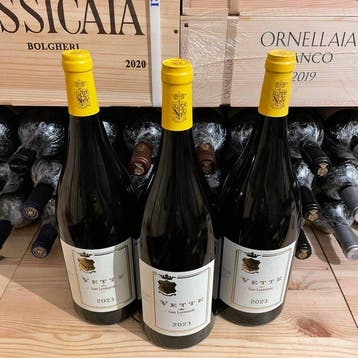 2025 San Leonardo, Sauvignon Blanc Vette - Trentino IGT -, Nieuw