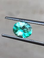 1 pcs Groen Smaragd - 1.02 ct - International Gemological, Nieuw