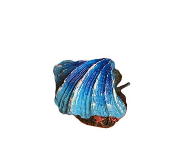 Schelp met luchtaansluiting blauw / As-151 (decoratie), Verzenden, Gevuld zeewateraquarium
