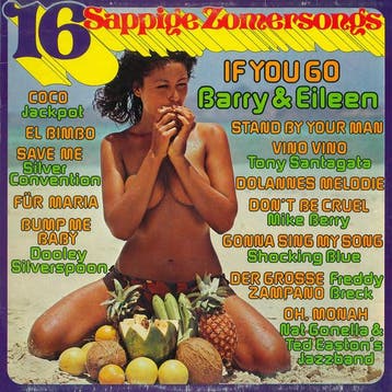 Various - 16 Sappige Zomersongs, Verzenden, Gebruikt