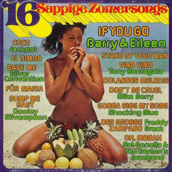 Various - 16 Sappige Zomersongs, CD & DVD, Vinyles | Pop, Envoi