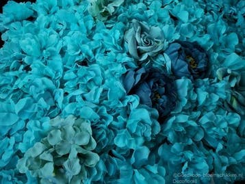 Flowerwall 40x60 cm 3D Blue Kant en Klaar, Nieuw
