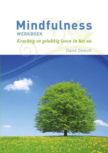 Mindfulness werkboek 9789086792610 David Dewulf, Verzenden, David Dewulf