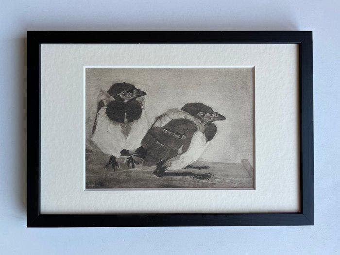 Jan Mankes (1889-1920) - Jonge eksters, Antiquités & Art, Antiquités | Autres Antiquités