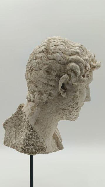 sculptuur, Adriano - 38 cm - marmerstof
