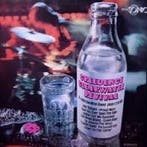 John Hamilton Band - Plays CCR Hits, Verzenden