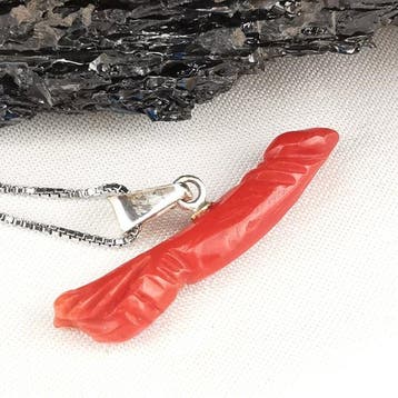 Koraal - Zilver - Ketting met hanger, Verzamelen, Mineralen en Fossielen
