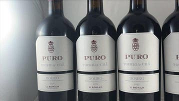 2022 J. Rosas Quinta da Touriga-Chã, Puro - Douro DOC - 6, Nieuw