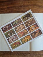 Diversen - Diversen Verkade en Jac. P Thijsse, Portielje, -, Antiek en Kunst