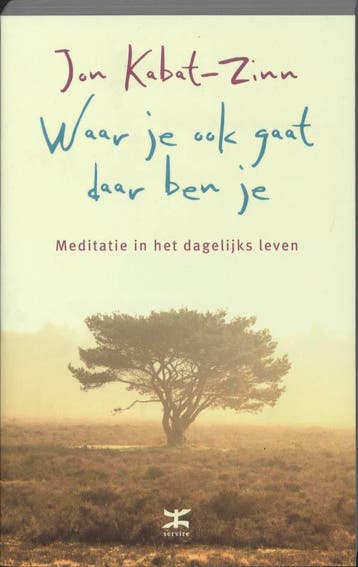 Waar je ook gaat, daar ben je 9789021545677 Jon Kabat-Zinn, Boeken, Verzenden, Zo goed als nieuw, Jon Kabat-Zinn