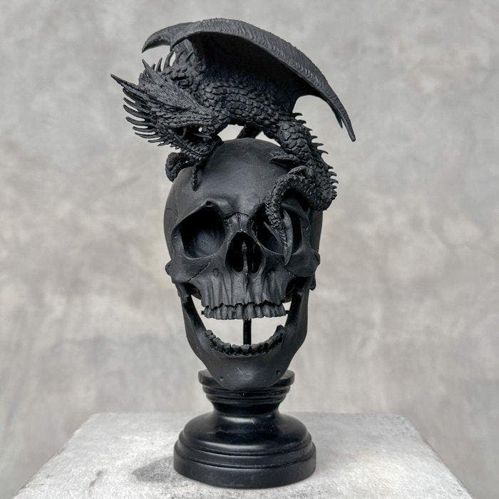 Statue, NO RESERVE PRICE - Human Skull Dragon on custom, Antiek en Kunst, Curiosa en Brocante