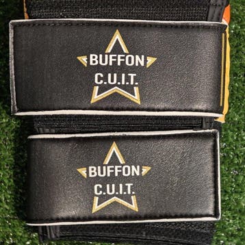 Juventus - Italiaanse voetbal competitie - Gianluigi Buffon, Nieuw