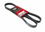 Multi belt Dodge Ram 2500/3500 97-02, Auto-onderdelen, Ophalen of Verzenden, Nieuw