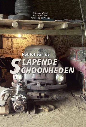 Het lot van de slapende schoonheden 9789060133026, Verzenden, Zo goed als nieuw, Arnoud op de Weegh