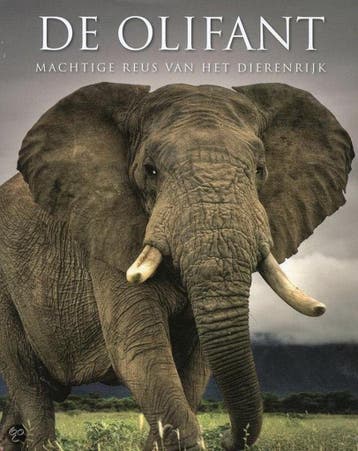 DE OLIFANT MACHTIGE REUS VAN HET DIERENRIJK 9781407574165, Verzenden, Gelezen, Davies