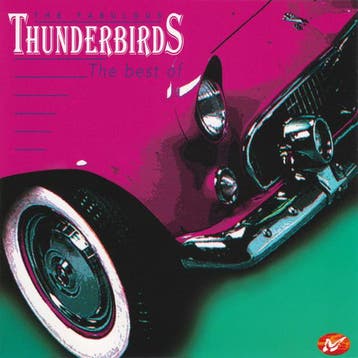 The Fabulous Thunderbirds - The Best Of, Verzenden, Gebruikt