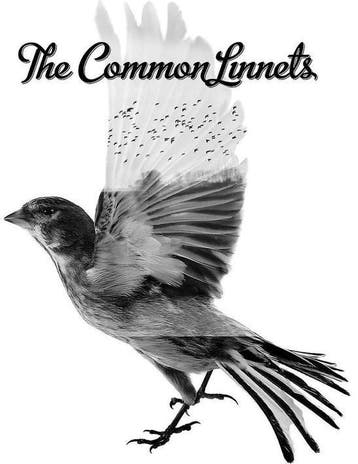The Common Linnets - The Common Linnets (CD), CD & DVD, CD | Country & Western, Verzenden
