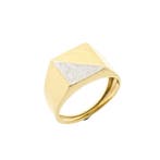 Bicolor gouden zegelring, Ophalen of Verzenden