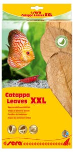 Sera Catappa Leaves XXL 10 stuks (Waterverzorging), Ophalen of Verzenden, Nieuw, Overige typen