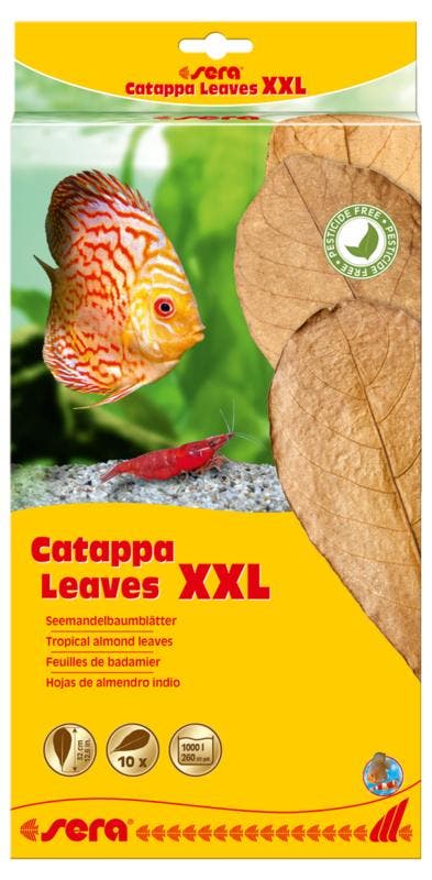 Sera Catappa Leaves XXL 10 stuks (Waterverzorging), Animaux & Accessoires, Poissons | Aquariums & Accessoires, Enlèvement ou Envoi
