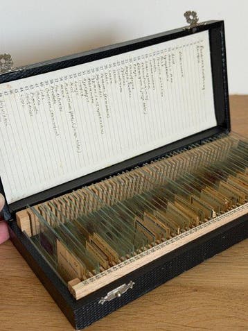 Historisch, medisch erfgoed / antiek - 1920-1930 - Duitsland