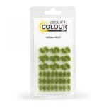 Citadel Colour Tufts Verdia Veldt (Warhammer nieuw), Hobby & Loisirs créatifs, Ophalen of Verzenden