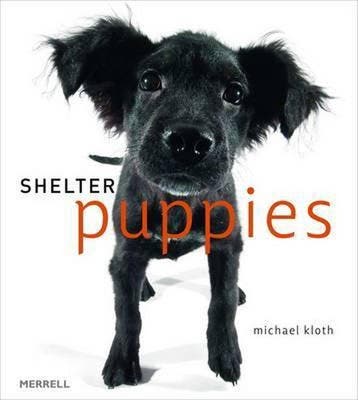 Shelter Puppies 9781858945606 Michael Kloth, Verzenden, Michael Kloth