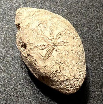 Oud-Grieks, Hellenistisch Lood Zeldzame militaire hopliet