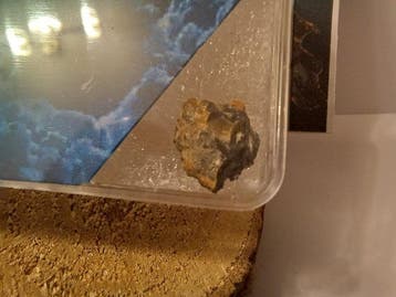 béchar 007 Lunaire Feldspathic breccia - 0.82 g, Verzamelen