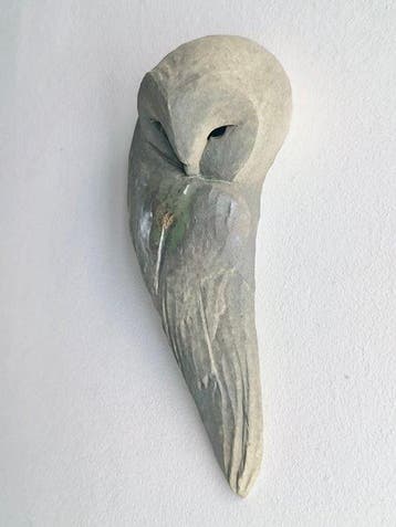 Federico Alibrio - Silent Lithos - Sleeping Barn Owl